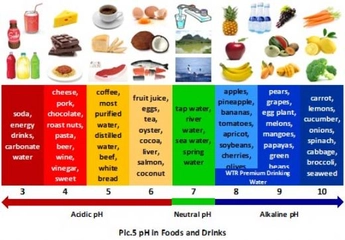 Gıdaların Besin Değerleri Kaçtır? Gıdaların Besin Değerleri Kaçtır?